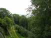  forêt de Brabois